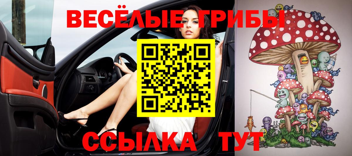 Галлюциногенные грибы Cubensis  Вход с VPN  Ирбит 